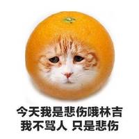 动漫女侧面头像唯美图片(7)