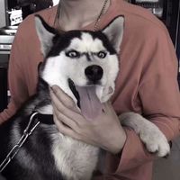 很耐看的男生头像