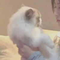 不明显头像情侣头像(13)