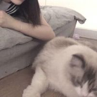 女生简单气质头像背影(14)