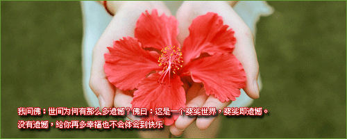 һĨ˵QQռ֣ҹҳֵǵİ(1)_WWW.AIGEXING.COM