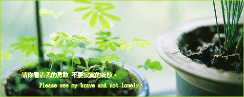 ڱǰǩͼƬʵһͦáԶ(2)_WWW.AIGEXING.COM