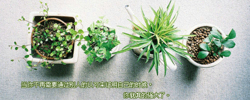 ڱǰǩͼƬʵһͦáԶ(1)_WWW.AIGEXING.COM