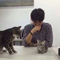 男生背影背景头像图片(19)