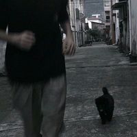 三星联系人变成了微信头像(12)