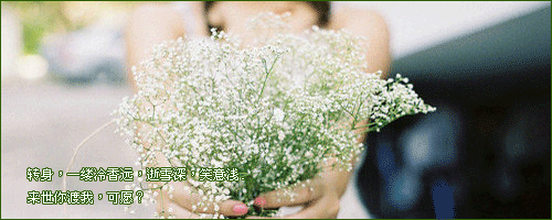 主人寄语流光字图片:女人再漂亮,也不过是男人的一道风景线(5)_WWW.AIGEXING.COM