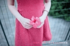 ƯqqռǩͼƬĲ жں