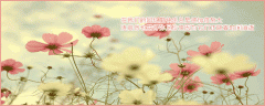 ԰ͼһο˲䳤
