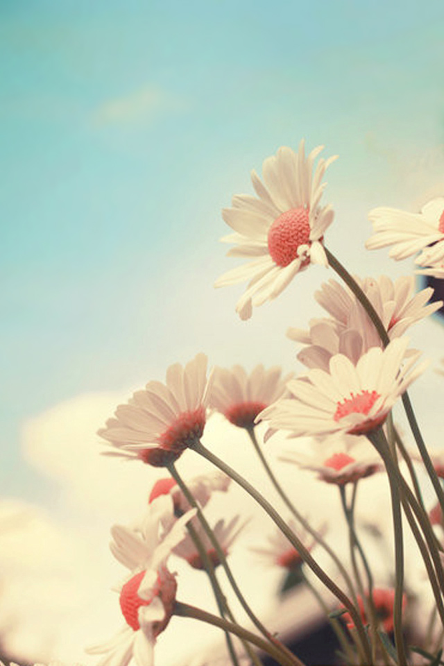 ΨͼƬزģζʱ񵭵Ҹ(8)_WWW.AIGEXING.COM