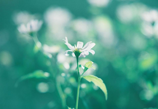 మʱ˵ɽ˷ֿʲô(7)_WWW.AIGEXING.COM