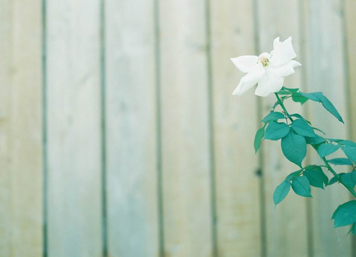 మʱ˵ɽ˷ֿʲô(2)_WWW.AIGEXING.COM