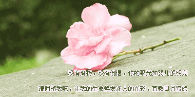 ԰ִͼǷ񾲺Ȼֻڼįʱ(5)_WWW.AIGEXING.COM