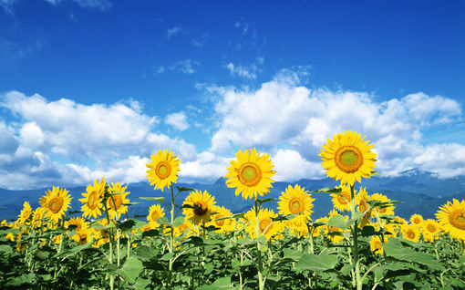 @΢˵ǳЦЦxinʹ(1)_WWW.AIGEXING.COM