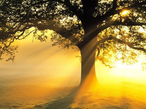 ں⺢ӱҸ֮(1)_WWW.AIGEXING.COM