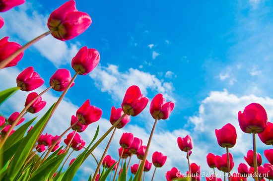 ˸˼QQǩҸദ˺۵뿪(1)_WWW.AIGEXING.COM