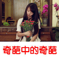 2013Ů˸ͷ񣺵˿(31)_WWW.AIGEXING.COM