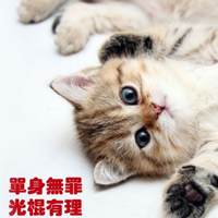 ˫ʮһڴͷ11.11QQͷȫ(19)_WWW.AIGEXING.COM