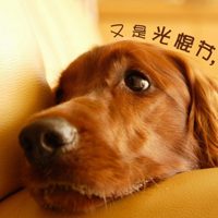 ˫ʮһڴͷ11.11QQͷȫ(14)_WWW.AIGEXING.COM