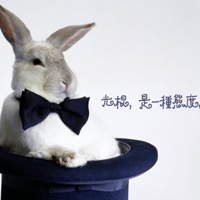 ˫ʮһڴͷ11.11QQͷȫ(42)_WWW.AIGEXING.COM