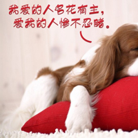 ˫ʮһڴͷ11.11QQͷȫ(13)_WWW.AIGEXING.COM
