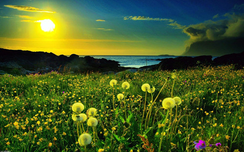 ʼ޷赭дЩ߹(1)_WWW.AIGEXING.COM