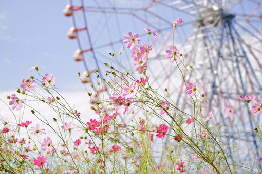 䰮QQ˵˼(4)_WWW.AIGEXING.COM