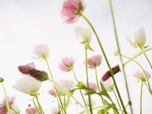 䰮QQ˵˼(6)_WWW.AIGEXING.COM