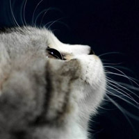 ɰQQȺͷȫĴ̣Ƥ(9)_WWW.AIGEXING.COM