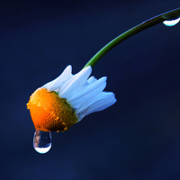 ŮΨQQͷزģǣģʱǹ·(9)_WWW.AIGEXING.COM