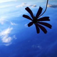 ŮΨQQͷزģǣģʱǹ·(5)_WWW.AIGEXING.COM