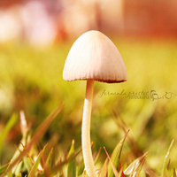 ŮΨQQͷزģǣģʱǹ·(34)_WWW.AIGEXING.COM