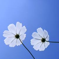 ŮΨQQͷزģǣģʱǹ·(6)_WWW.AIGEXING.COM