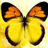 Ψ⾳羰Զ̬QQͷ㾫ƵĻԣ޷һ(19)_WWW.AIGEXING.COM