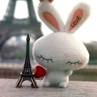 ƶΨ΢ͷ񣺸ðʱѧ˺(4)_WWW.AIGEXING.COM