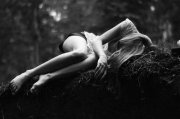 2014Ӣȫpeaceful   shy;