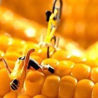 ɰQQȺͷͼƬҶȥ(34)_WWW.AIGEXING.COM