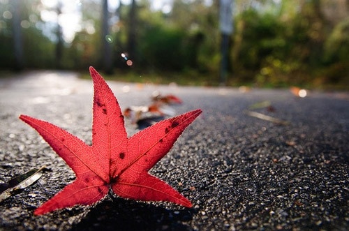 我是男生有好听的微信网名字大全
