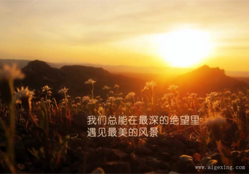 名人关于友情的经典句子