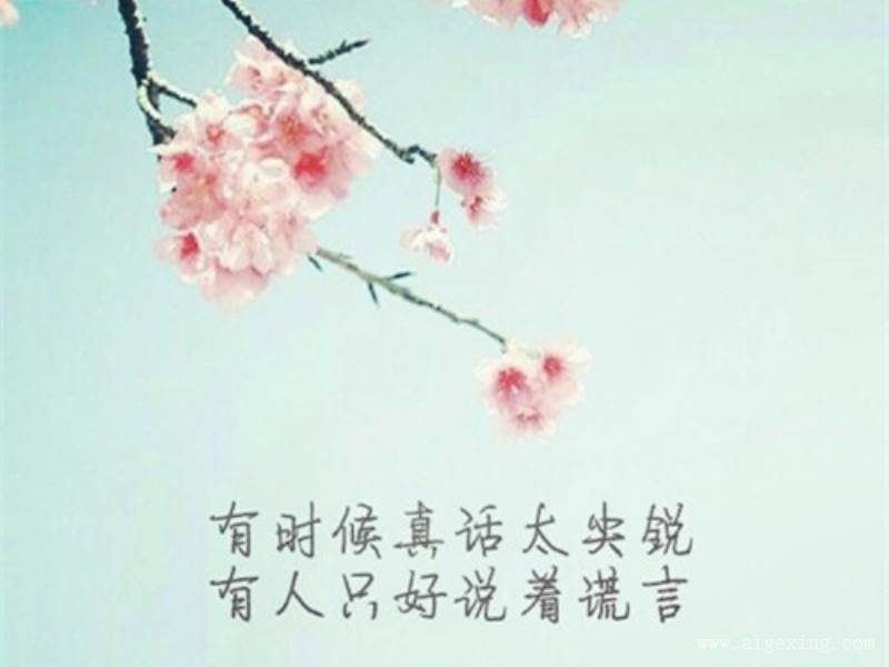 我溺海你救吗i73我流泪你痛吗i因为爱你/73我只能爱你/你的谎言