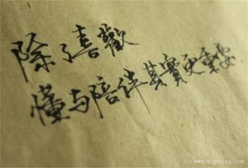 和佐伊情侣名字