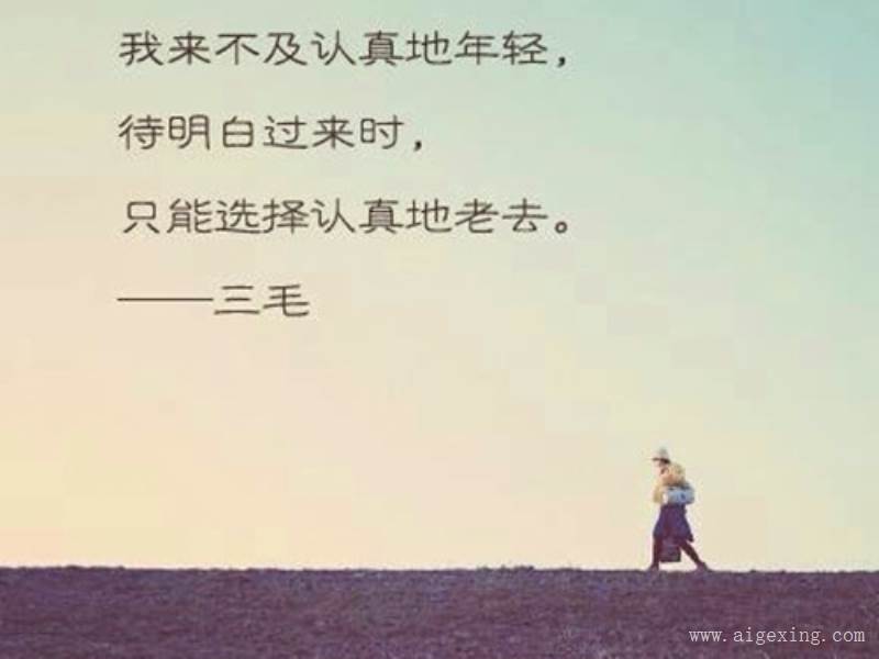 背影中的优美句子