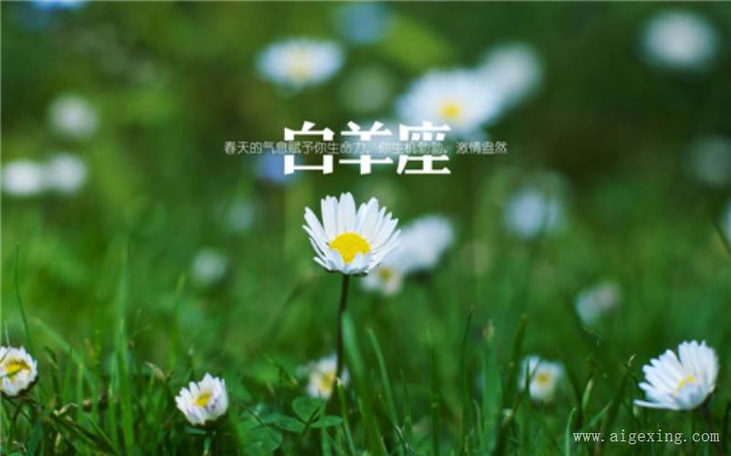 2020年网名