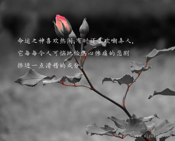 押韵的英语励志句子