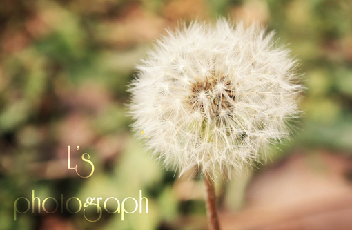 ˵ȫ2013°Ů˸б˳Ϊһź(1)_WWW.AIGEXING.COM