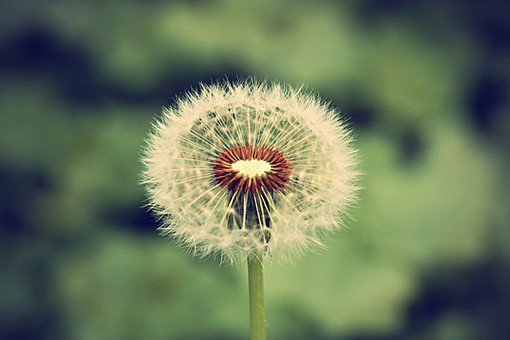 ŮQQ˵˵ȫ̫һ(1)_WWW.AIGEXING.COM
