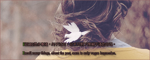 2014Ψ⾳԰֣,ȴֻĥ(8)_WWW.AIGEXING.COM