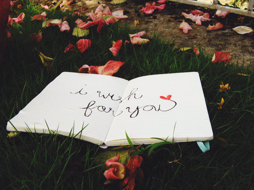 ˸иǩȫ2014°