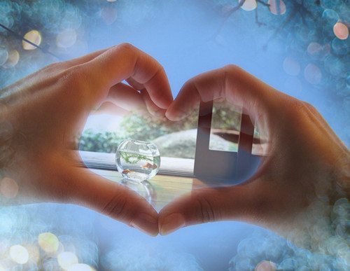һţ Y ʹveve