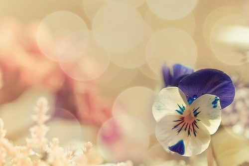 į˸пռ˵˵ȫͼƬ ׸ȴԽԽ