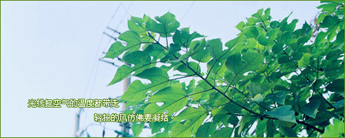 Ǹ߸ϵ㣬˵ȥ(5)_WWW.AIGEXING.COM